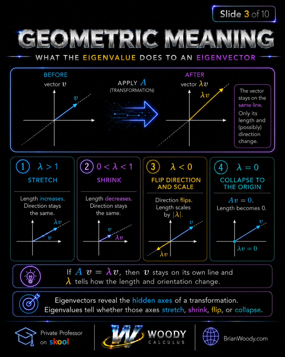 Geometric Meaning of Eigenvalues Geometric meaning of eigenvalues showing stretching, shrinking, flipping, and collapsing of eigenvectors.