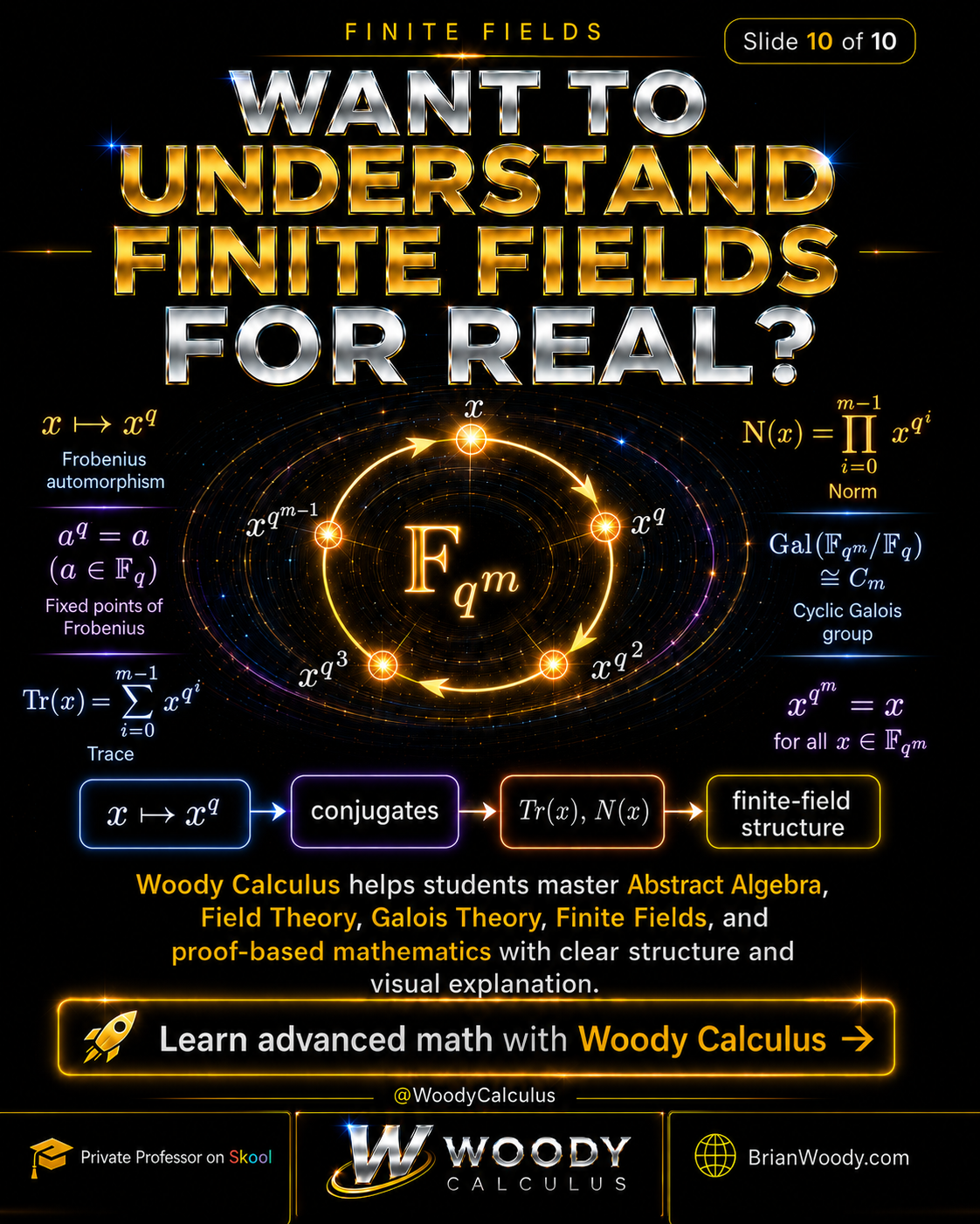 Want to Understand Finite Fields for Real? Want to understand finite fields for real? Summary of Frobenius automorphism, fixed points, trace, norm, cyclic Galois groups, and finite-field structure.