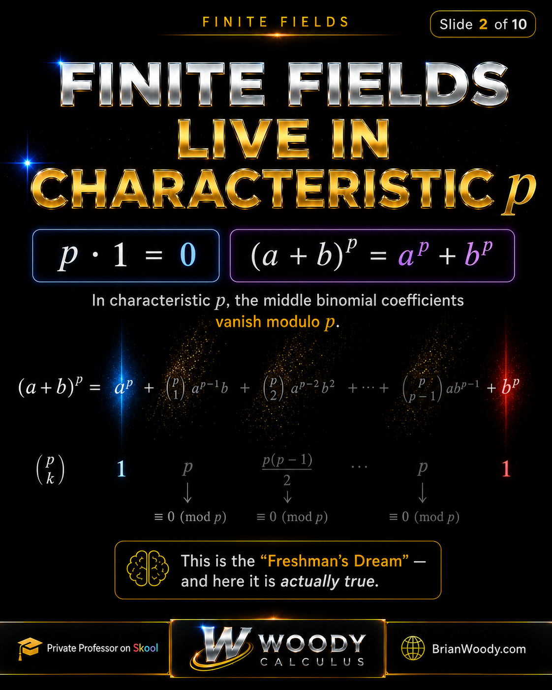 Finite Fields Live in Characteristic p Finite fields live in characteristic p, where p times 1 equals 0 and the Freshman's Dream formula (a plus b)^p equals a^p plus b^p becomes true.